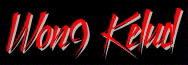 Logo won9kelud